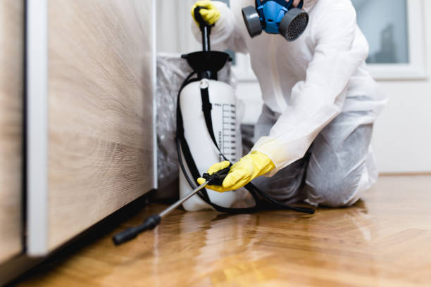 Best Commercial Pest Control Services  in Woodlawn Beach, FL