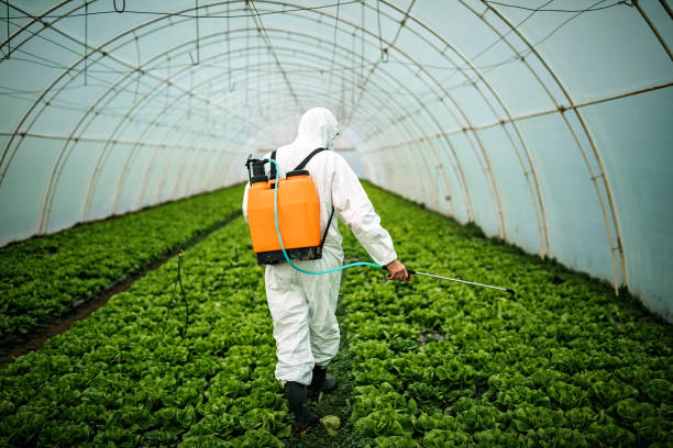 Best Pest Control Near Me  in Woodlawn Beach, FL