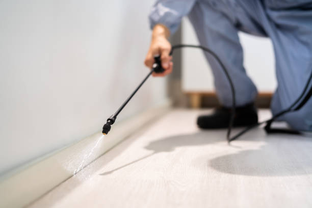Best Pest Removal Services  in Woodlawn Beach, FL
