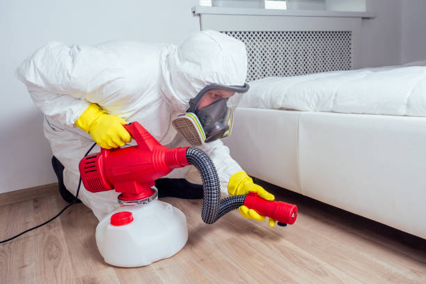 Best Bed Bug Extermination  in Woodlawn Beach, FL