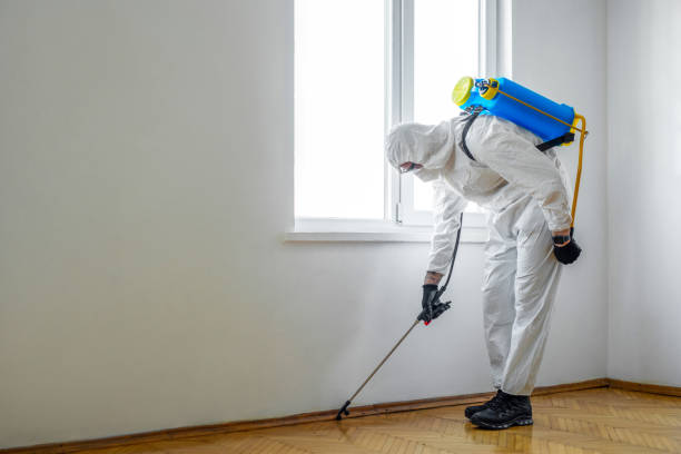 Best Pest Removal Services  in Woodlawn Beach, FL