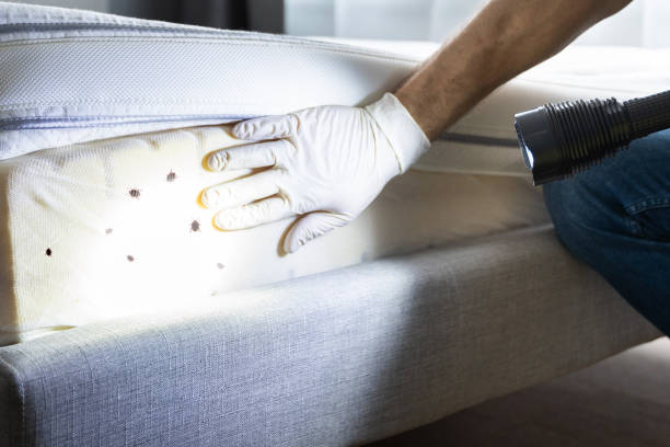 Trusted Woodlawn Beach, FL Pest Control Experts