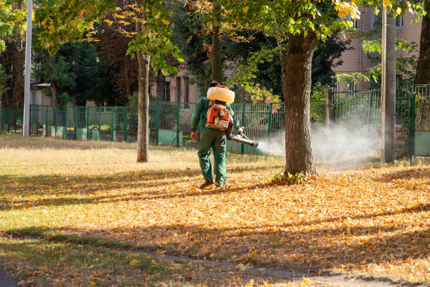 Wildlife Control Services in Woodlawn Beach, FL