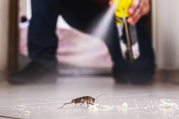  Woodlawn Beach, FL Pest Control Pros