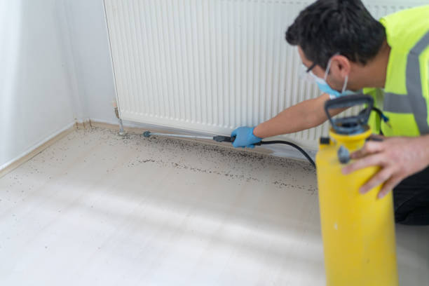 Best Local Pest Control Services  in Woodlawn Beach, FL